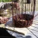 Vannerie sauvage – 1 Journée